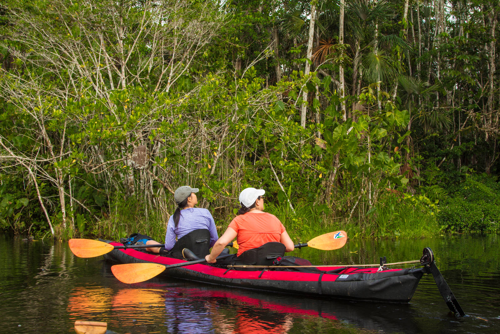 wildlife kayaking trips